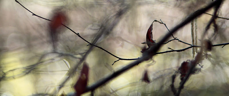 Inspiration Lyrik: Fotografie trifft Poesie